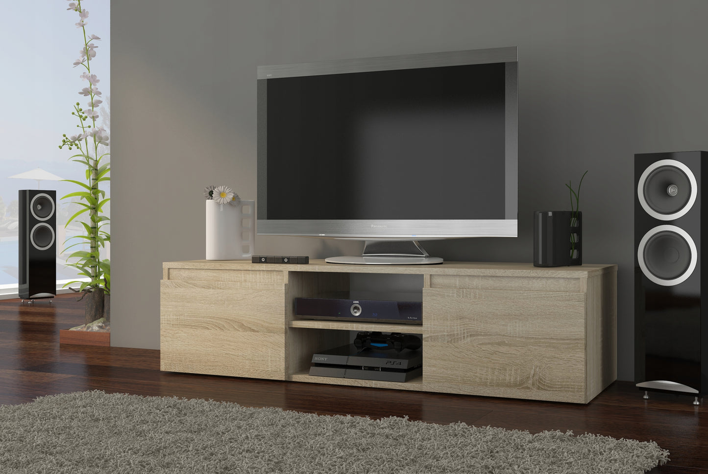 TV-Schrank, Lowboard, Fernsehschrank | Mit 2 Türen und 1 Einlegeboden | Funktional und langlebig | 120x40x36 cm (BxTxH)