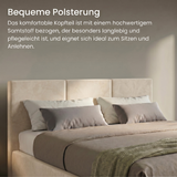 Home Collective Bett Doppelbett Polsterbett Bettgestell mit Lattenrost & Stauraum 120x200 140x200 160x200 180x200 cm mit Bettkasten, Kopfteil mit 3 Paneelen | weicher Samt | Creme und Aschgrau