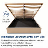 Home Collective Bett Doppelbett Polsterbett Bettgestell mit Lattenrost & Stauraum 120x200 140x200 160x200 180x200 cm mit Bettkasten, Kopfteil mit 3 Paneelen | weicher Samt | Creme und Aschgrau