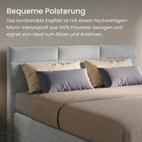 Home Collective Boxspringbett 160x200 180x200 200x200 Bett Doppelbett Polsterbett Bonnell H2 Matratze, gepolstertes Kopfteil | Microvelours