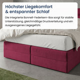 Home Collective Boxspringbett 160x200 180x200 200x200 Bett Doppelbett Polsterbett Bonnell H2 Matratze, gepolstertes Kopfteil | Microvelours