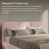 Home Collective Bett Doppelbett Polsterbett Bettgestell mit Lattenrost & Stauraum 120x200 140x200 160x200 180x200 cm mit Bettkasten, Kopfteil mit 3 Paneelen | weicher Samt
