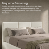 Home Collective Bett Doppelbett Polsterbett Bettgestell mit Lattenrost & Stauraum 120x200 140x200 160x200 180x200 cm mit Bettkasten, Kopfteil mit 3 Paneelen | weicher Samt