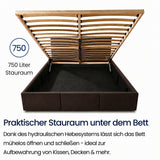Home Collective Bett Doppelbett Polsterbett Bettgestell mit Lattenrost & Stauraum 120x200 140x200 160x200 180x200 cm mit Bettkasten, Kopfteil mit 3 Paneelen | weicher Samt