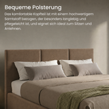 Home Collective Bett Doppelbett Polsterbett Bettgestell mit Lattenrost & Stauraum 120x200 140x200 160x200 180x200 cm mit Bettkasten, Kopfteil mit 3 Paneelen | weicher Samt
