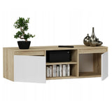 TV-Schrank, Lowboard, Fernsehschrank | Mit 2 Türen und 1 Einlegeboden | Funktional und langlebig | 120x40x36 cm (BxTxH)