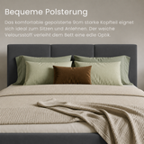 Home Collective Polsterbett, Bett mit Stauraum, Stauraumbett mit Lattenrost gepolstert Bett mit Kopfteil Doppelbett | Bettkasten mit Gasdruckfedern, Metallrahmen, Samtpolsterung | 120×200 | 140x200 | 160x200 | 180x200 cm