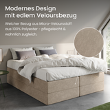 Home Collective Boxspringbett Polsterbett Bett mit Matratzenauswahl (Bonnell H2 / Kaltschaum H3), gepolstertes Kopfteil (optional), Microvelours | Verfügbare Größen: 90x200, 100x200, 120x200, 140x200, 160x200, 180x200, 200x200